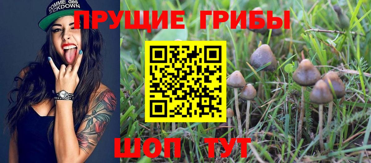Галлюциногенные грибы Psilocybe  Галлюциногенные грибы Psilocybe  Вход с VPN  Минеральные Воды 