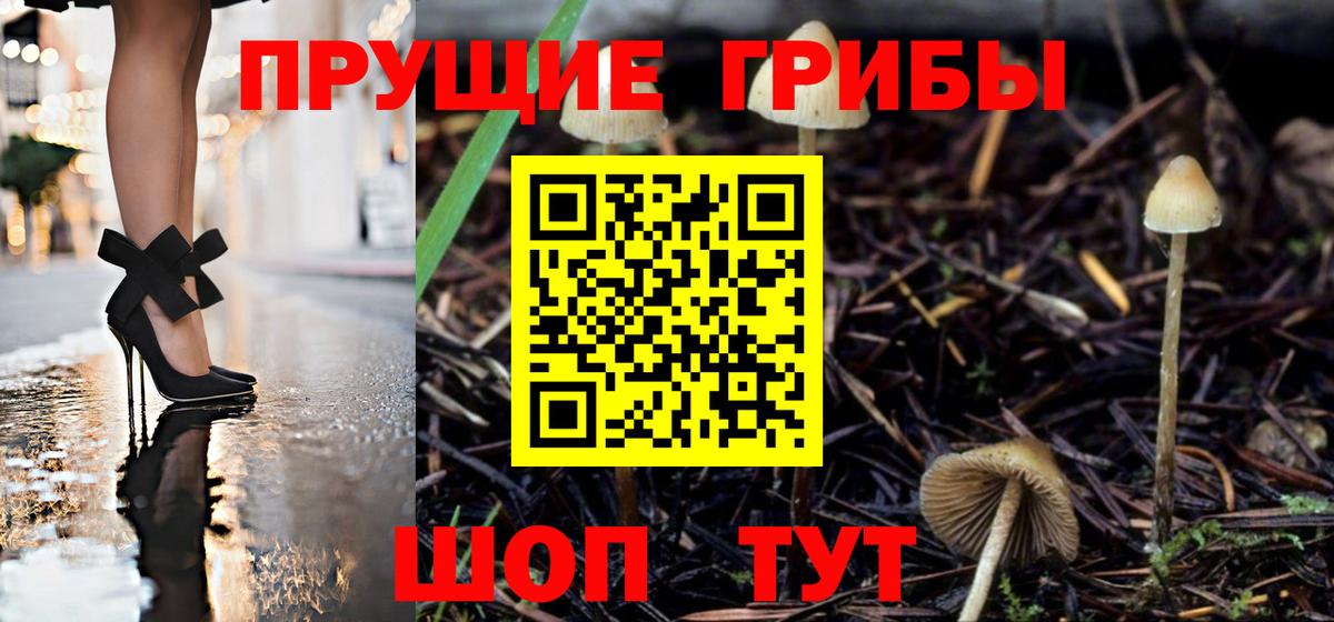 хочу наркоту  Минеральные Воды  Галлюциногенные грибы ЛСД  Псилоцибиновые грибы MAGIC MUSHROOMS 